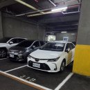 신추일 | 250602-05 대만 신추 출장