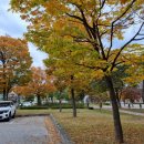 교동택지 서부공원 이미지