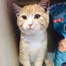 가족동물병원 이미지