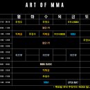 ART OF MMA 이미지