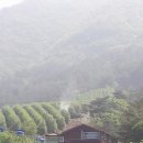 정선농장 이미지