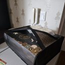 (버스)참이슬아파트.동일공고 | Q. 요즘 바쁘지? A. 어 노느라