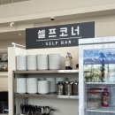 스테비아 황칠 토종백숙 | 담양 아기랑 점심맛집 초복 중복 말복 담빛누룽지삼계탕 솔직후기 추천해요