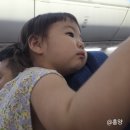 H-081 | 진에어 다낭 좌석 LJ081 LJ082 아기랑 탑승 후기