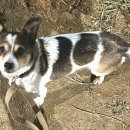 헬로우동물병원 이미지