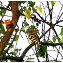 금호강변 이미지