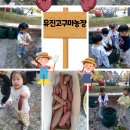 유진농장 이미지