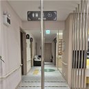 더놀