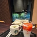 홍성여자중학교 | [홍성카페추천] 스타벅스 홍성DT점 방문후기