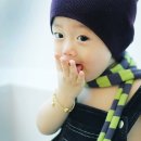 아이뽀라 이미지