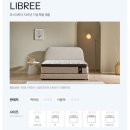AK플라자 원주점(6층) | 🤍 씰리 리브레 칼킹 (Sealy Libree ck) 신혼 매트리스 내돈내산 구매 후기 🤍