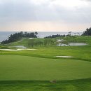 명성송이대게 이미지