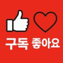 2026년 트렌드 최근 가장 핫한 바이뚜롱베이 완전 가이드 이미지