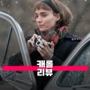 영화 캐롤 관람평 줄거리 해석 정보 눈빛으로 사랑을 보여주다