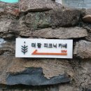 카페더팜 네이버블로그