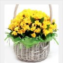 경남호텔나빌레라토요이벤트결과(10/28일-사진첨부) 이미지