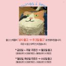 (주)에이2엘유통 | [코코로카라] 떠먹는 푸딩 컵케이크 맛집 답례품택배대량주문 후기🍰 (주문방법,맛추천,보관방법)