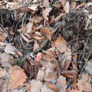 광일목장 이미지