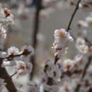 동해유정란농장 이미지