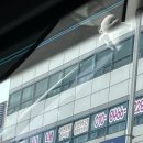 개꼬신내 이미지