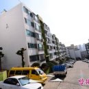 유림-1131 이미지