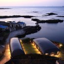 제주스테이 비움 이미지