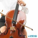 첼로 1:1 맞춤레슨 이미지