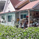 다올부동산중개사무소 이미지