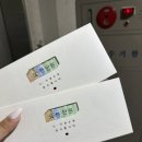울타리에 넝쿨장미 어우러져 피어나는 유월에