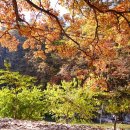 공작산 휴양림 펜션 이미지