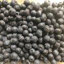 부촌농장 이미지