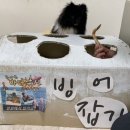 망원견 애견유치원&애견호텔 이미지