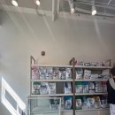 운정한빛동물병원 이미지