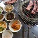 갈매기식당 이미지