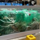 광명무역센터 이미지