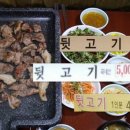 생고기뒷고기 이미지