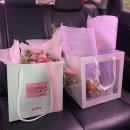 태풍2 | 💍제주웨딩스냅 헬퍼훈스냅 유아오 촬영 후기 2 (태풍급 악조건 날씨 속에서 살아남기)