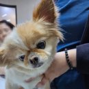 해운대조은동물병원 이미지