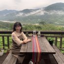 도시고양이생존연구소
