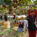 진환농장 이미지