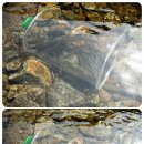 고향펜션캠핑 이미지