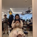 청담그레이스