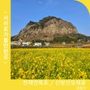 천제연휴양팬션 | 서귀포가볼만한곳 제주 3대폭포 천제연폭포 입장료 주차장 소요시간 and 2월 3월 제주도 가볼만한곳...