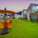 골드애견 이미지