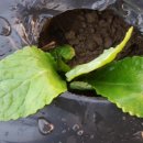 용운농장 이미지