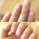 주식회사 킨스포 | [피어나 스킨 유스시그널 21 & 피어나립밤 후기]피어나스킨유스시그널21과 피어나립밤을추천합니다