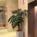 인디프레젠트호텔 이미지