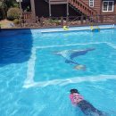 돌담너머바다 이미지