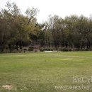 황성공원 실내체육관 이미지