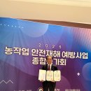 다래실천 이미지